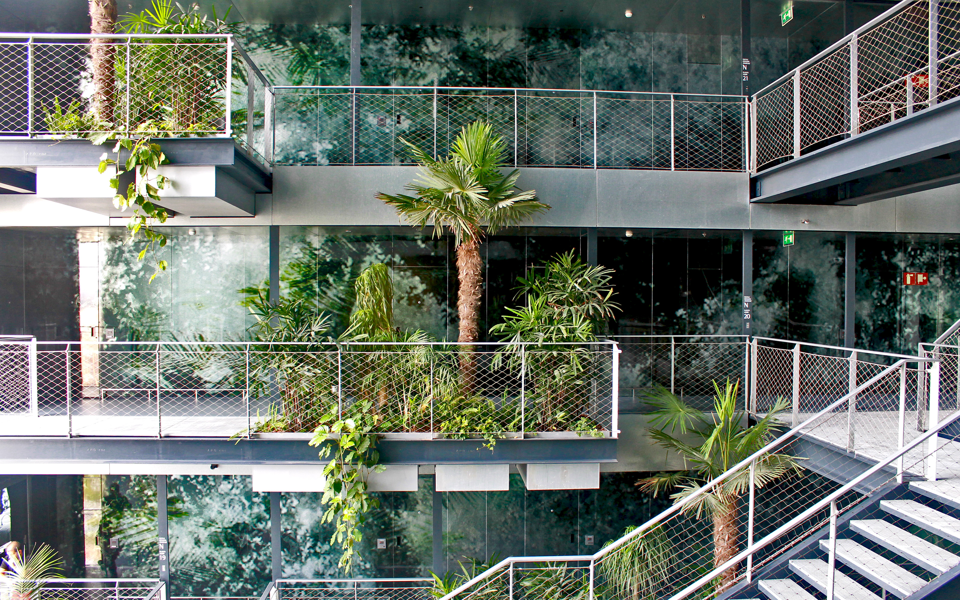 With its 300 palm trees and other tropical plants an overall concept of a vertical tropical garden was realized. Palm trees and tropical plants on several platforms